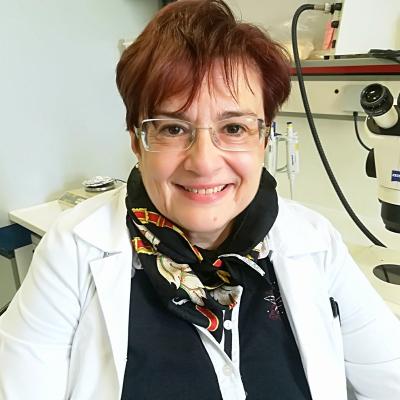 Anna Mitraki
